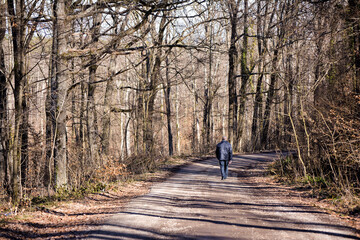 man walking in the forest