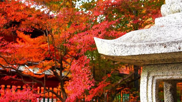 京都　毘沙門堂の紅葉と石の灯籠