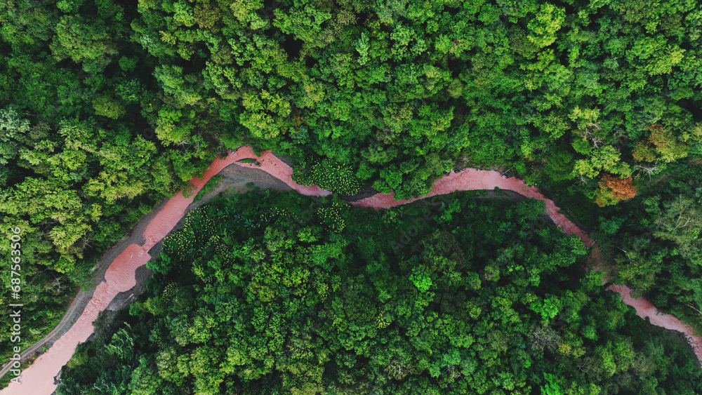 Wall mural Aerial top view forest tree, Rainforest ecosystem and healthy environment concept and river flowing in the forest