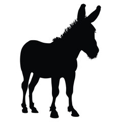 donkey silhouette isolated on white