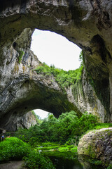 cave in the forest