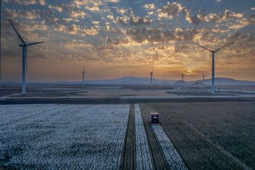 Türkiye / Izmir Menemen plain 06 September 2023 The last hours of the day. Cotton fields and cotton picking vehicle at sunset.​ - obrazy, fototapety, plakaty