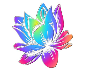 3D sticker beautiful colourful lotus flowers with wonderful petal