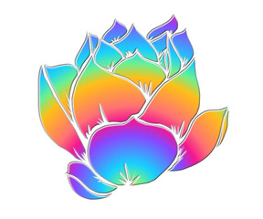 3D sticker beautiful colourful lotus flowers with wonderful petal