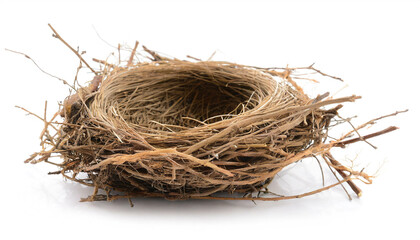 Bird's nest isolated on white background, cutout - obrazy, fototapety, plakaty