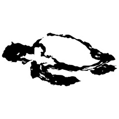 Obraz premium 亀の墨絵風のイラスト素材 ベクター