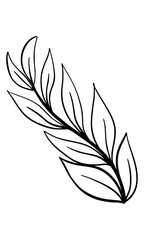 black and white leaves