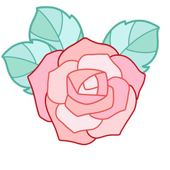 rose, valentine, flower