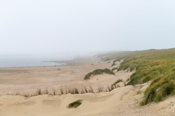 Panoramic view over beach and dunes with green dune grass or marram grass along the coast of the island of Texel, the Netherlands with fog or mist in distance covering beach and dune