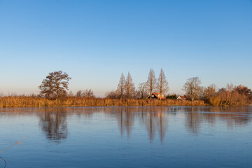 Low angle view over the smooth ice surface on the Reeuwijkse Plassen in Reeuwijk, the Netherlands towards strip of land with reed beds and trees with reflection in the icy surface of the lake