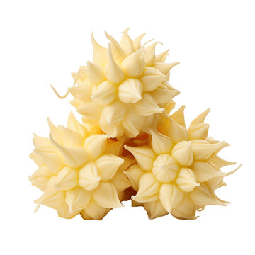 Pineapple White Chocolate Cluster  isolated on a white transparent background