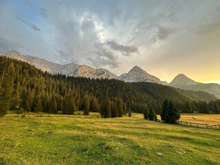 Meadow in the Austrian Alps