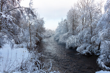 Fast flowing river in winter. Snow-covered trees on the shore