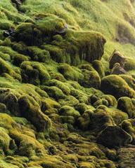 Abstract at Seljalandsfoss
