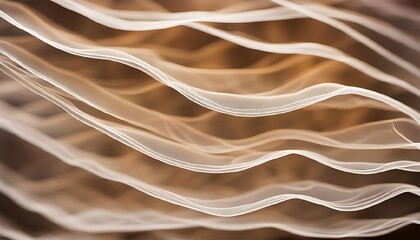 Obraz premium texture veil abstract waves background abstract