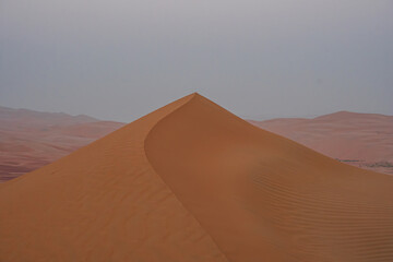 Fototapeta na wymiar A curved sand dune in the rub'al khali desert before sunrise
