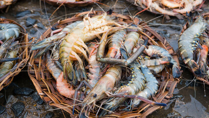 A basket of shrimps at a roadside market
