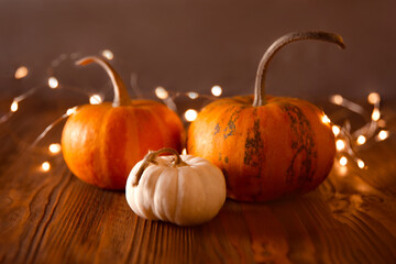 mini pumpkins jack be little decorated with Christmas garland lights on wooden table