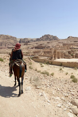 Animals in Petra UNESCO site in Jordan - 687593998