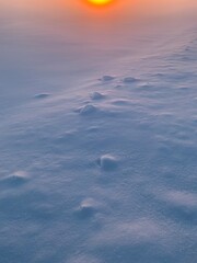 sunset in the snow