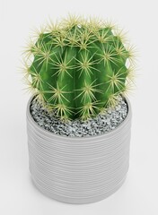 Realistic 3D Render of Golden Barrel Cactus