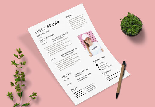 Clean Professional Resume Design Layout