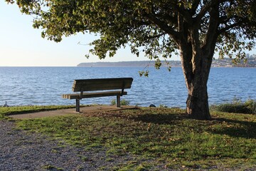 Naklejka na ściany i meble An empty bench by a tree over looking the bay at a viewpoint in Marine Park