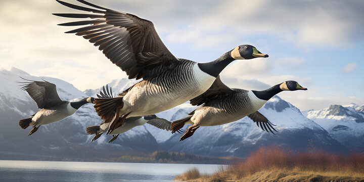 Nilg&auml;nse bei Sonnenaufgang, A flock of pelicans soaring over a lake, Banded Geese in Flight, Demoiselle Crane flying in the village of Khichan in India, generative AI



