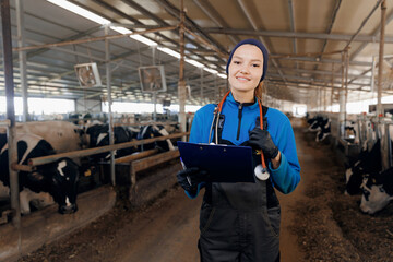 Fototapeta na wymiar Portrait farmer woman veterinarian with clipboard background milk cow in modern barn. Concept vet worker of livestock farm health care cattle
