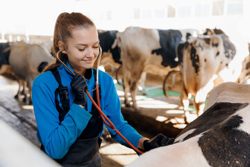 Woman Veterinarian doctor control health of cow with phonendoscope, checking pregnancy of Cattle on farm livestock. Concept vet medical agriculture industry - obrazy, fototapety, plakaty