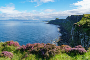 A dramatic view across the cliffs and ocean on the Isle of Skye, with blooming heather in the...