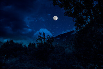 Mystical landscape of Full Moon Rising over tall green meadow with trees at Forest
