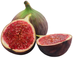 Fresh organic common fig