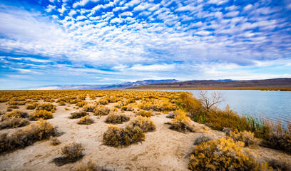landscape with a lake