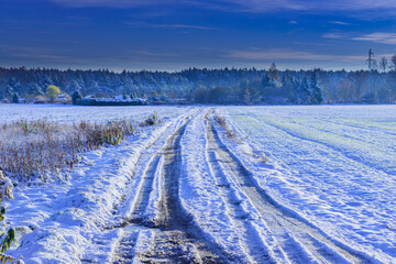 Zimowy poranek wśród pól uprawnych. Ziemię pokrywa warstwa białego śniegu. Na lekko...