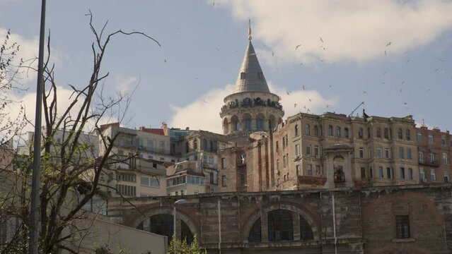 Galata tower in Istanbul with flying seagulls on background of city and sky