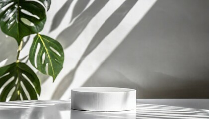 minimal white cosmetics product presentation scene made with empty white pedestal on white background with leaves shadow
