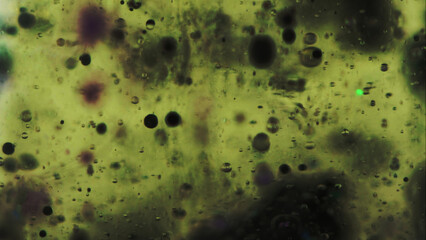 Bubble fluid. Oil texture. Ink water drop. Defocused green black color transparent wet gel paint oxygen circle floating motion art abstract background.