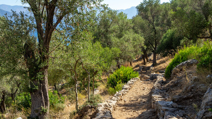 Walking path in ancient city Amos near town or village of Turunc, Turkey. It was located in Rhodian Peraia in Caria on Mediterranean coast