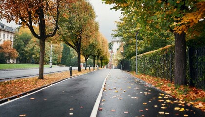 Obraz premium empty road in city in autumn time