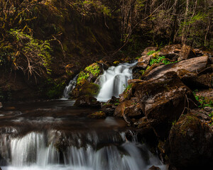 waterfall in the forest