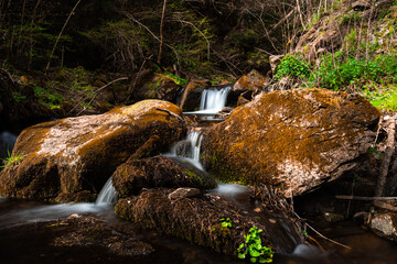 waterfall in the forest