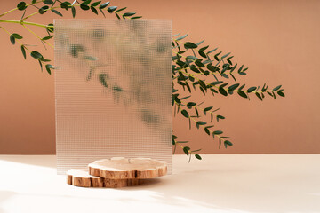 Podium for exhibitions and product presentations, material: stone, wood, glass, eucalyptus branch. Beautiful beige background made from natural materials. Abstract nature scene with composition.