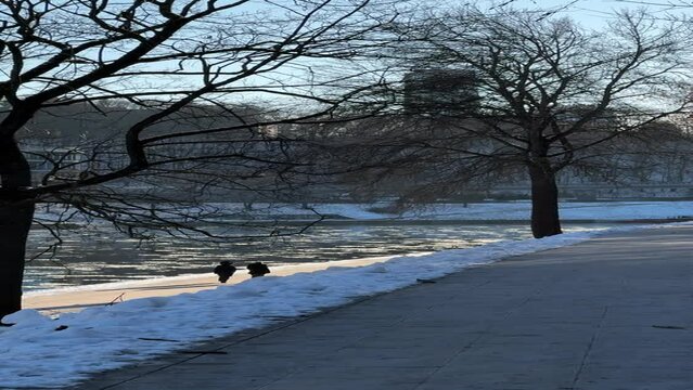 Neris river embankment on sunny winter day in Vilnius, Lithuania. Vertical video