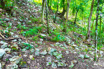 Coba Maya Ruins ancient buildings pyramids in tropical jungle Mexico.