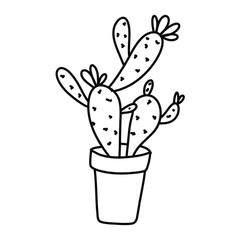 hand drawn vector cactuse in the pots