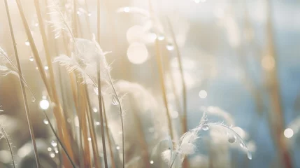 Papier Peint photo Destinations close-up shot capturing the delicate white dewdrops clinging to the slender reeds, high quality, copy space, 16:9