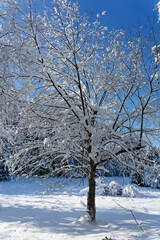 View of a Bavarian winter landscape with lots of snow, blue sky with clouds on a cold winter day