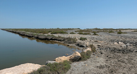 scenic and desolate panorama in an oasis of the Camargue