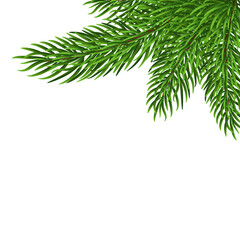 Realistic green Christmas tree branches isolated on a transparent background. High quality illustration. PNG